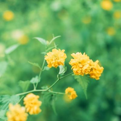 恙化装甲九游版下载